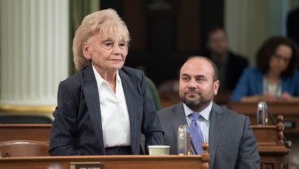 Assemblymember Gabriel commemorates Holocaust Remembrance Day on the Assembly Floor